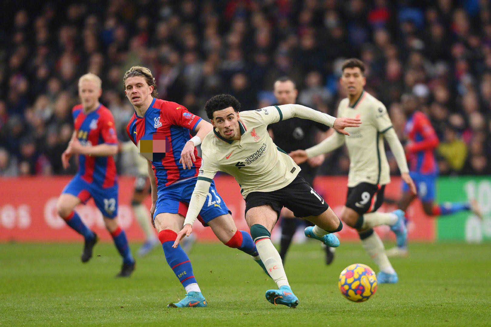 汉酱杯业围 汉酱杯业围